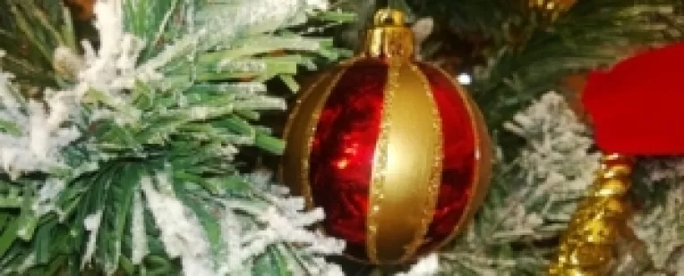 Estiri.ro si Einformatii.ro va ureaza Craciun fericit!