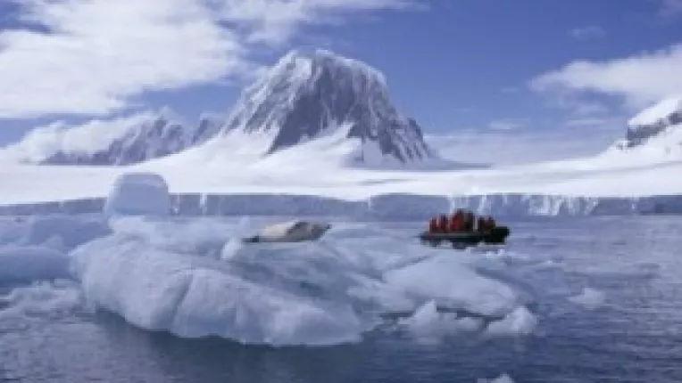 Google Earth: Fotografii satelitare ce par a infatisa OZN-uri si diverse creaturi