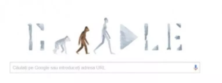 Google marcheaza 41 de ani de la descoperirea unui schelet din specia hominida Australopithecus afarensis