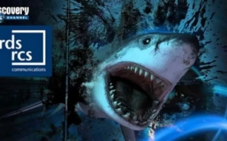 It.bzi.ro : Surpriza neplacuta pentru o parte importanta dintre clientii abonati la RCS&RDS