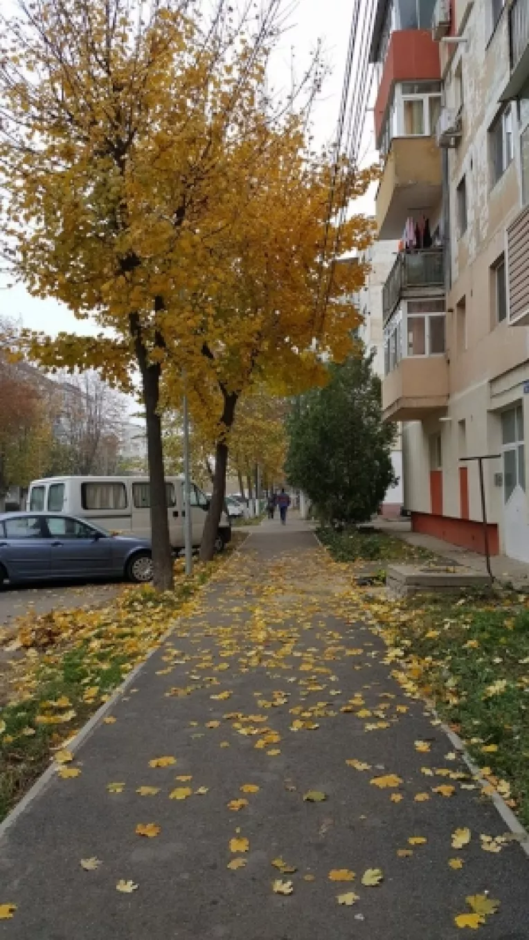 Noiembrie - sfarsit de toamna in viziunea poetului Jimmy Stanescu