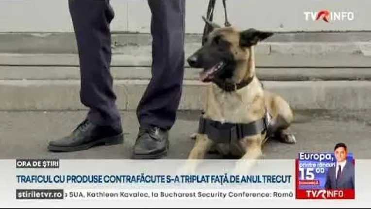 Traficul cu produse contrafacute s-a triplat in ultimul an